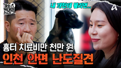 우리 개는 천만원을 찢어... 눈, 코, 입술까지 안 가리고 달려드는 엄마보호자 얼굴 집중 난도질견