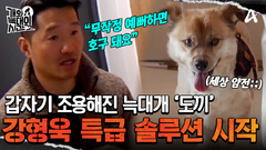 ＂악플 달았는데 현실에서 만난 느낌ㅎ?＂ 보호자가 없으니 강형욱 앞에서 세상 얌전한 늑대개!?