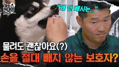 ＂손가락이 없어도 생명에 지장이 가진 않잖아＂ 개에게 물려도 손을 바로 빼지 않는 보호자?!