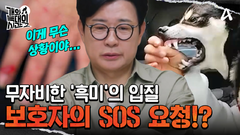 ＂살려주세요＂ 목숨 건 드라이브?! 시한폭탄 \