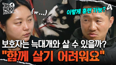 ＂반려견이 아니에요＂ 관계 맺기가 안 되는 야생 동물?! 과연 보호자는 늑대개와 함께 살 수 있을까?