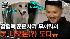 강 훈련사가 무서워서 못 나오는 \