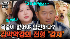 ＂목줄이 없으면 멀쩡해요(?)＂ 강약약강의 전형인 사이코 \