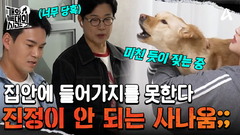 터져버린 \