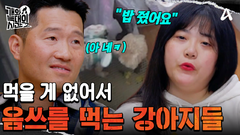 ＂밥 줬어요＂ 밥 줬다는 보호자 vs 릴레이로 음식물 쓰레기 먹는 강아지들