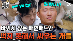 서로 물고 물리는 아수라장의 문제犬들!?