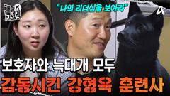 늑대개 \