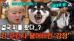 결국 피 봤다.. 역대급 성질머리 늑대개 \