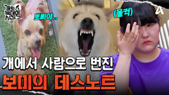 엄마를 울게 한 그날의 사건? 12세 \