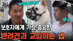 절대 안 나오는 켄넬 집착견 \