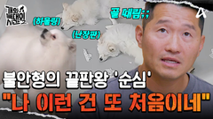 ＂이런 경우는 또 처음인데?＂ 강 훈련사도 처음 보는 분리 불안 끝판왕 \