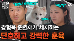 ＂또 훈련사 바꿔야죠?＂ 강 훈련사의 단호하고 강력한 훈련법 제시! 엄마 보호자의 반응은?