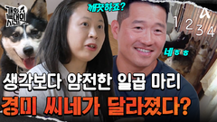 소음 때문에 집주인까지 나선 상황? 임보견 5마리의 입양처가 필요한 현실