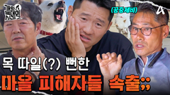 공중제비로 목을 물어버리는 \