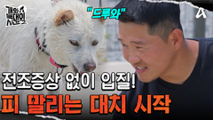 강 훈련사가 줄을 잡자마자 입질 시작! \