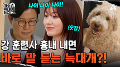 강형욱 훈련사 흉내 내면 바로 말 잘 듣는 늑대개?!