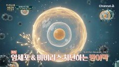 암세포 완벽 차단! 강한 항산화력으로 질병 걱정 줄여 주는 \