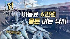 단돈6만원, 빈손으로 방어낚시!!! 이런곳은 처음봐요 ㄷㄷ