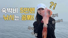 단돈 5만원! 세상에 이런데가 있다니! 갑오징어도 나오네요!!