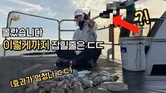 추울수록 효과좋다는 갑오징어낚시 ‘그 비결!’ 이건 상상도 못했는데!?