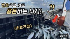단돈 7만원 방어낚시! 장비, 채비 없이 가도 잔뜩잡는곳?!? ㄷㄷ