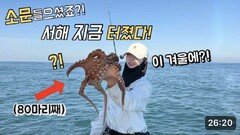 모두 기다린 ‘그 섬’ 문어낚시, 드디어 터졌다!! 믿기지 않는 조황입니다 ㅠㅠ