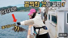 문어낚시 중 정체불명의 생명체가 낚였습니다! 소름돋는 반전 정체 ㄷㄷㄷ