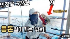 좌대에 드디어 신발짝 갑오징어가 터졌네요! 이 곳은 완전 다른 방법 입니다!!