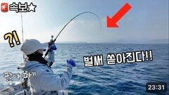 수심 90미터! 심해에서 드디어 그 녀석들이 나오기 시작했다!