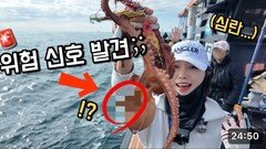 서해 문어 상태의 심각성 ㄷㄷㄷ…바다가 이상 합니다 ㅠㅠ