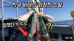 낚시 중 상어떼의 습격을 받았는데 ㄷㄷ 이대로라면 사람도 위험합니다!!