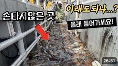 벌써 이 곳에 갑오징어가 쏟아집니다!! 근데 여기서 낚시해도 되는 건가...?!
