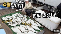 광어 다운샷 탐사 낚시에서 모두가 놀란 이유!? 올해는 꼭 필요하네요!