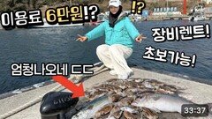 입장료 6만원이면 갈 수 있는 낚시 천국! 값비싼 갑오징어가 쏟아집니다 ㄷㄷ