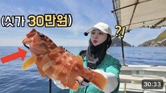 귀한 고기가 앞바다에 쏟아집니다 ㄷㄷ무조건 선비뽑는 낚시?!