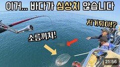 광어다운샷 7년만에 목격된 광어들의 기이한 행동?! 괜찮은 거겠죠?