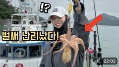 낚시 중 문어가 너무많이 붙어서 놀랐습니다! 여긴 대박이겠는데요!?