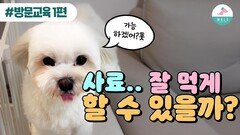 (방문교육1편) 훈련사님 사료를 잘 안먹어서 고민이에요