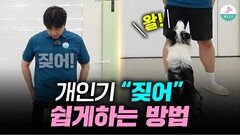 개인기편ㅣ강아지 ‘짖어’ 2분 만에 알려 드리겠습니다