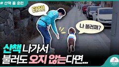 누구나 쉽게 할수 있는 산책 ㅣ콜 훈련 연습ㅣ