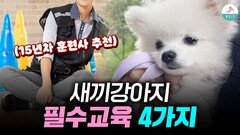 이 4가지만 해도 문제행동 예방 됩니다ㅣ새끼강아지 교육법ㅣ사회성 훈련