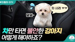 이렇게 만 하시면 차에서도 편안해 질 수 있습니다