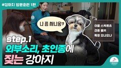 짖는 강아지 혼내지 말고 이것부터 시작 해주세요