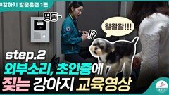외부소리. 초인종 소리 짖는다면 이 교육을 해보세요