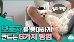 훌륭한 보호자 되는 방법 6가지