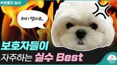 강아지한테 이런 행동은 하지 말아주세요..