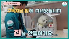 비숑프리제ㅣ새끼강아지 교육ㅣ강아지 방문훈련ㅣ퍼피 클래스ㅣ1편