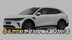 중국 전기차, 한국 시장에서 잘나가는 중
