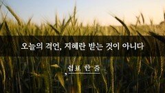 오늘의 격언, 지혜란 받는 것이 아니다