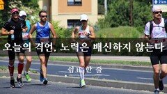 오늘의 격언, 노력은 배신하지 않는다